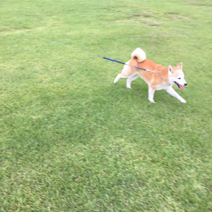 1eef7a3b a445 4087 9bfa 14e7214ec9ee