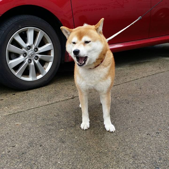 1eeff31b fcc6 423f 802e 594ee87b7d0f