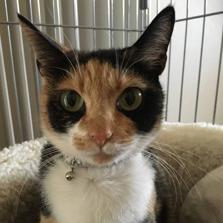 1ef05635 a34b 4082 abcf 48bc0de99166