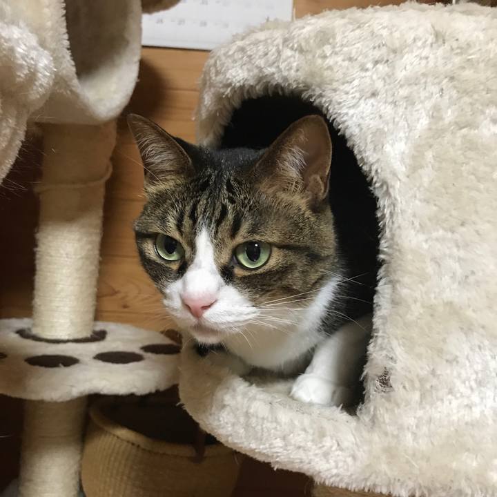 1ef183f4 e01b 4df4 b72d b40b9ce8cc93