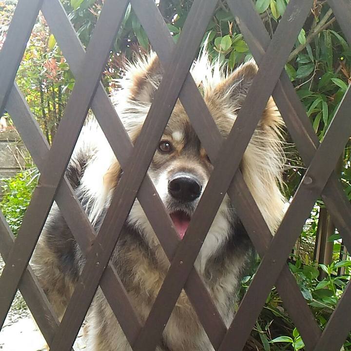 1ef18441 75a9 4870 b90a c193d493f33a