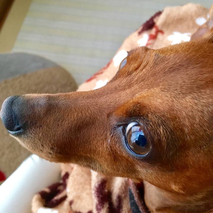 1ef1d326 9259 413b bd4a 9dc1892909a6