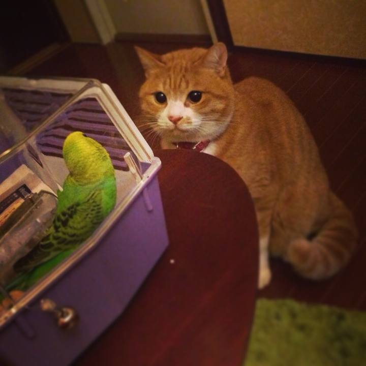 1ef1f85c 2c87 4f38 98f8 2e4c56487077