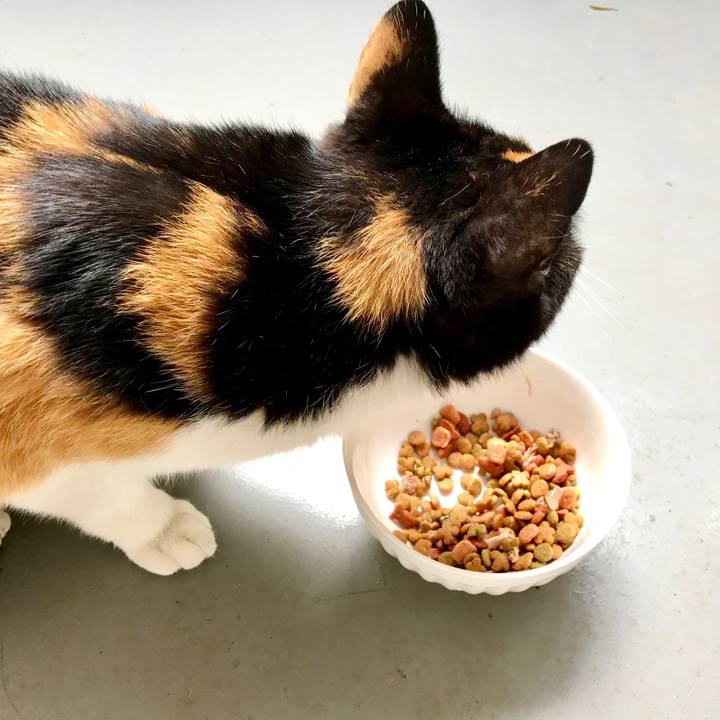 1ef21ee7 5084 49b9 95b6 768f53a0752c