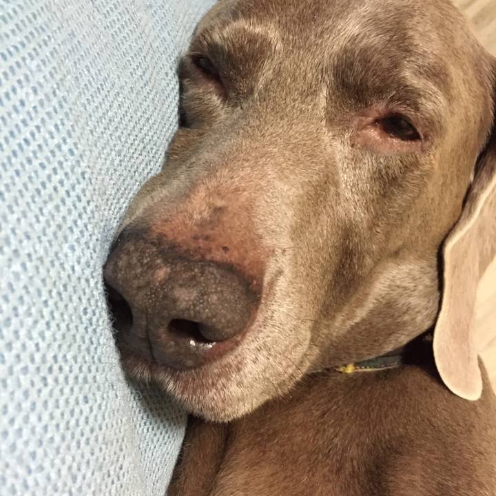 1ef2f547 5c3d 4bdf 9477 77544be33571