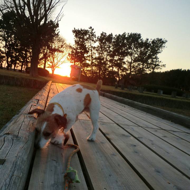 1ef30485 8b57 41a5 9a54 1aba0650c50d