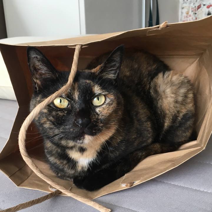 1ef4672d 59a7 4e50 8577 112ce3991dd8