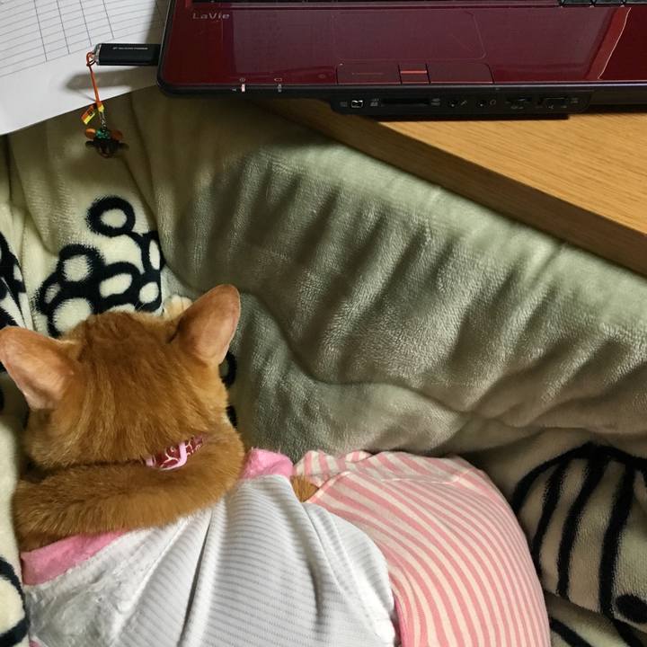 1ef4d830 0c4f 4962 b75e 29eeb58c1953