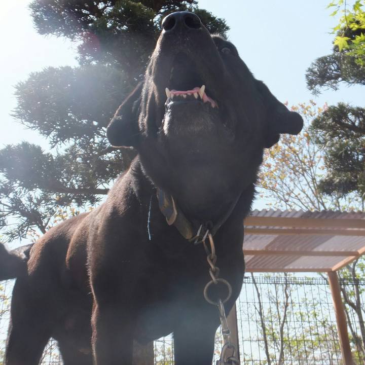 1ef4ffbc ac06 4a13 ac25 1808359f8c25