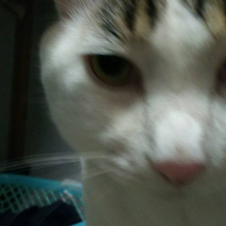 1ef56421 c6ff 45d4 9bd4 471118633867