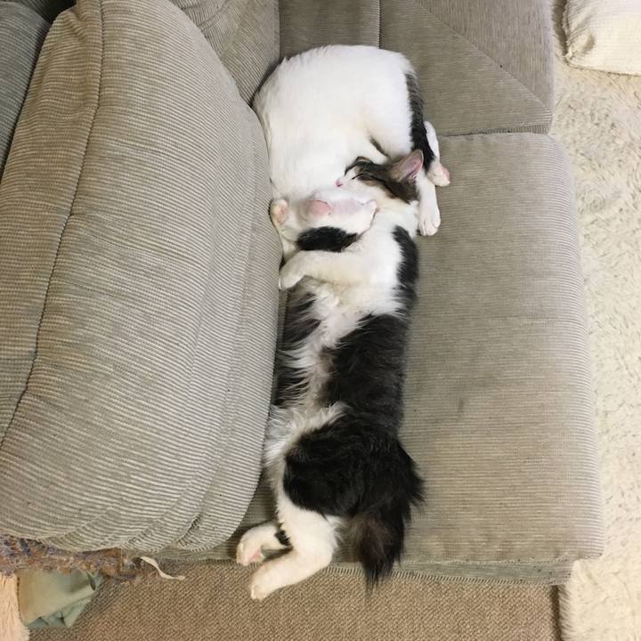 1ef63fcb 6f09 4393 a40b ac8f0b29f82c