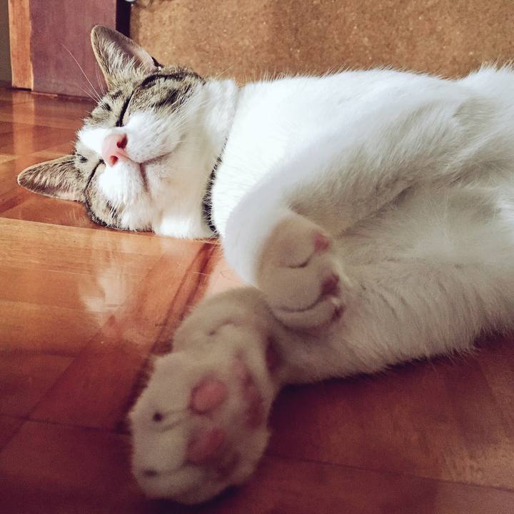 1ef76d7b 6a7c 4ef9 82b7 e39259b60032