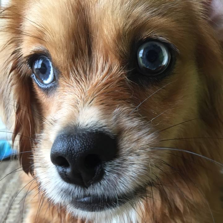 1ef77f0c 9e3b 4902 9828 cf52429e5358