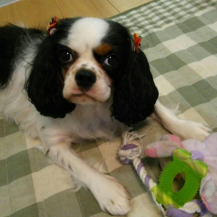 1ef835a5 b43f 421c 9321 00cf8bb53b84