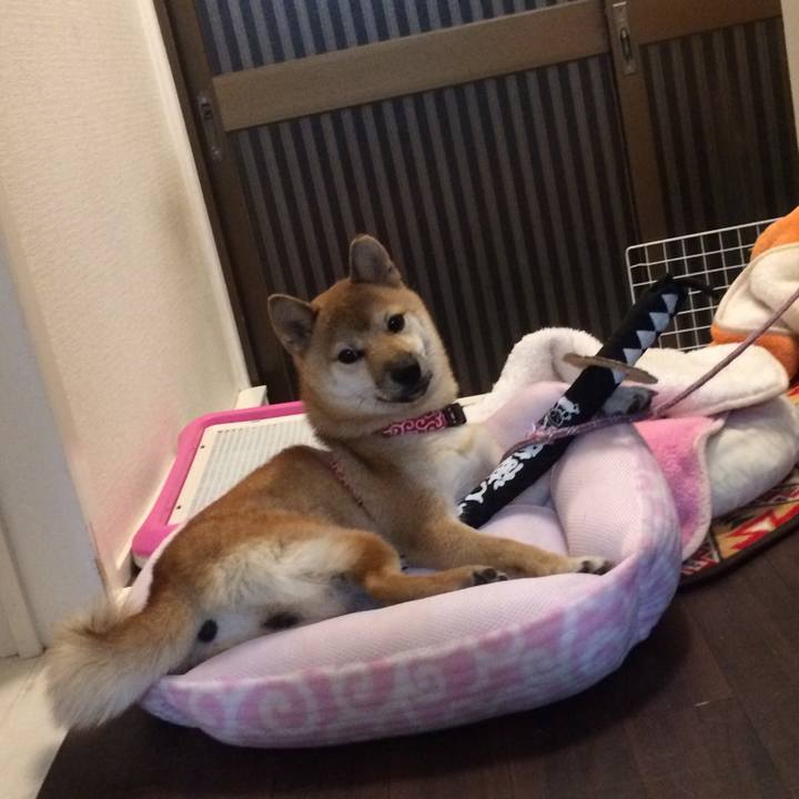 1ef83b0b 1644 4f12 8613 63965c081451