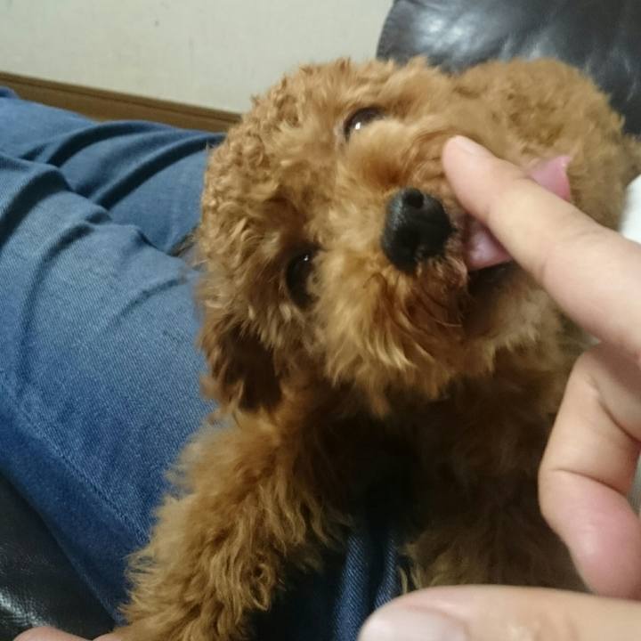 1ef8addc d4cd 4175 963e 6149ae85617b