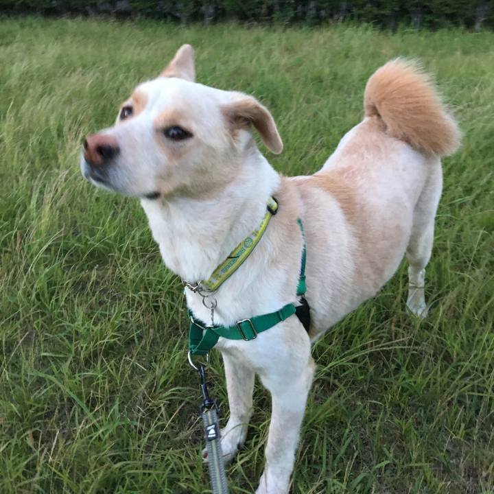 1ef92bb2 076b 4424 a096 feeabda62a65