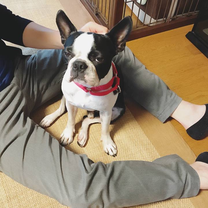 1ef961bc dfd7 4b95 ac5f 2ac716e4ff3c