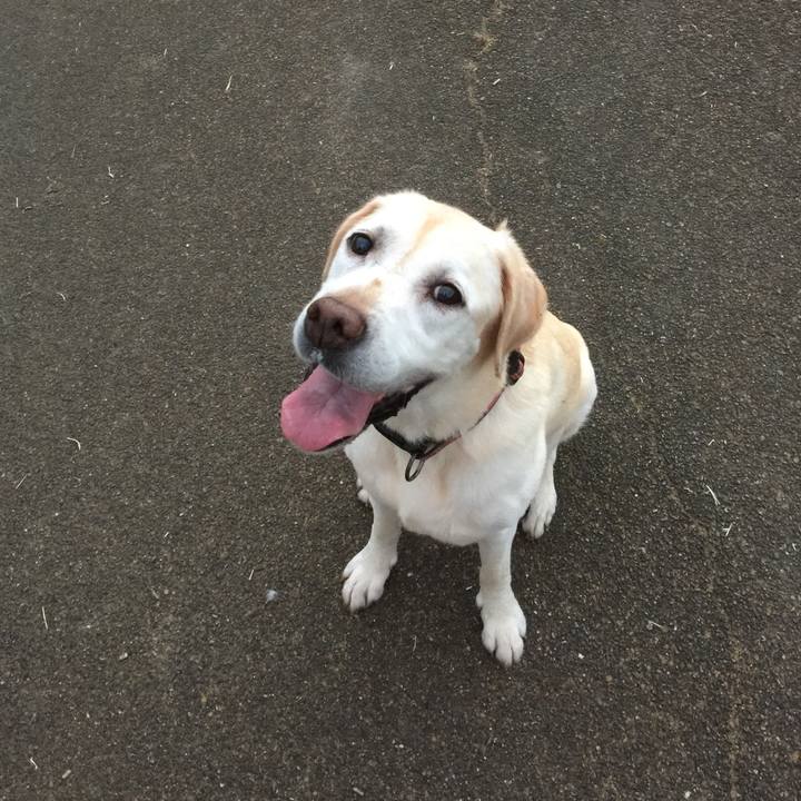 1ef9e1d7 53c2 4bd1 af3d 2bf6f3201df3