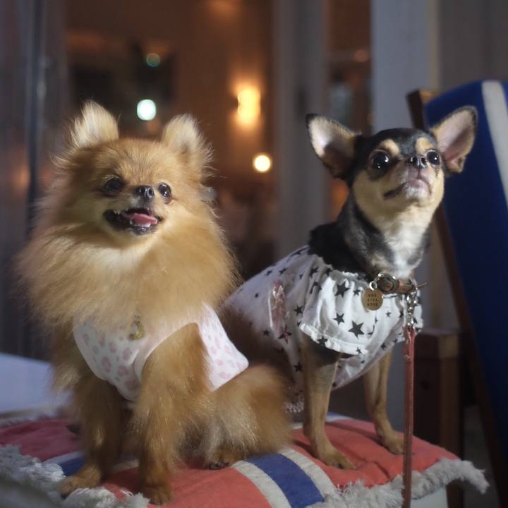 1efa7979 ab96 4250 a494 716cc04cfaf1