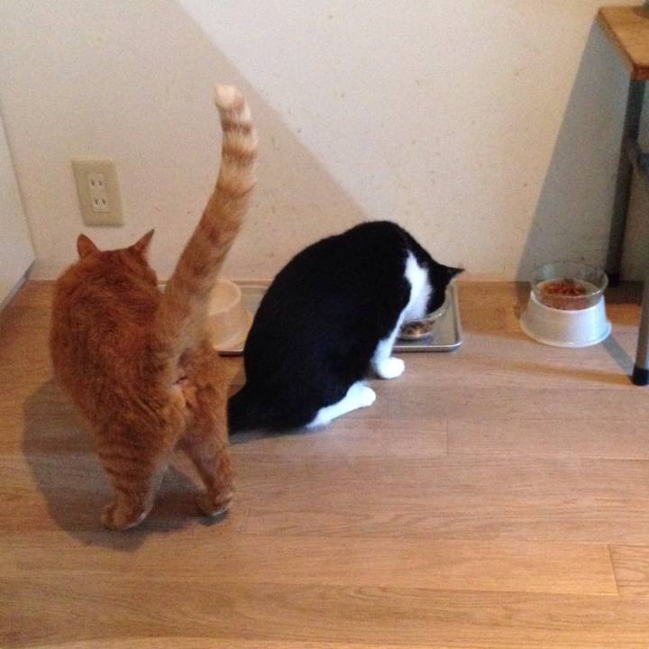 1efa8059 42a8 4e5d 9595 28086a8de0a2