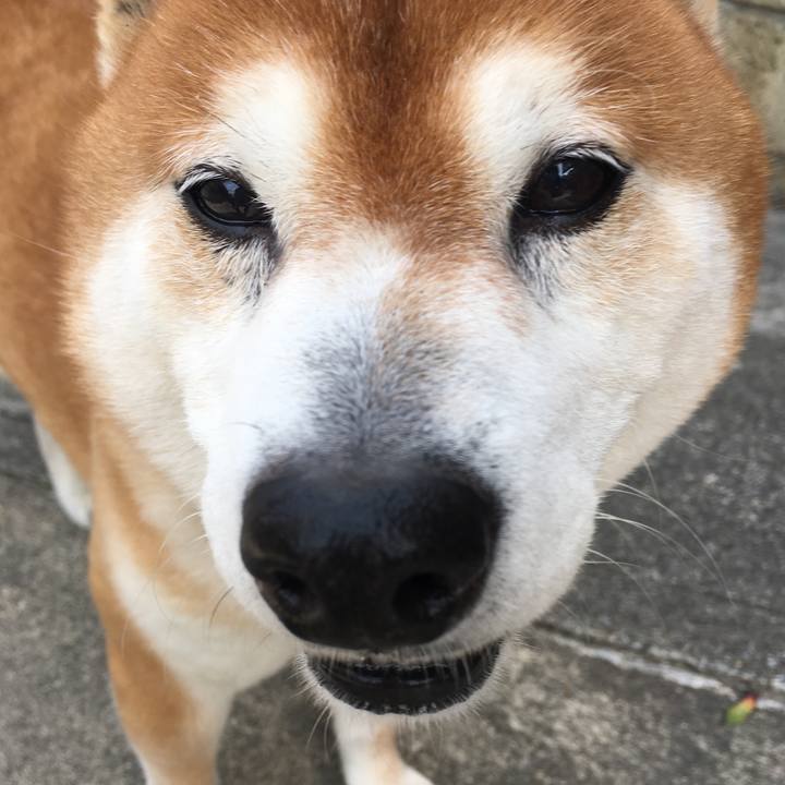 1efa93a5 ff1a 4975 a907 ed32b8bace15