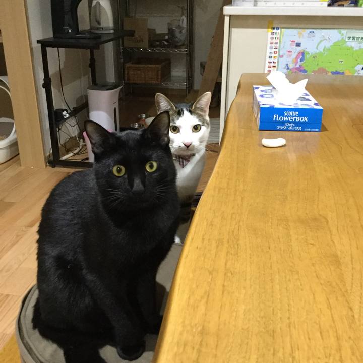 1efaad65 7f1f 483f b2fc e5b9f90daa91