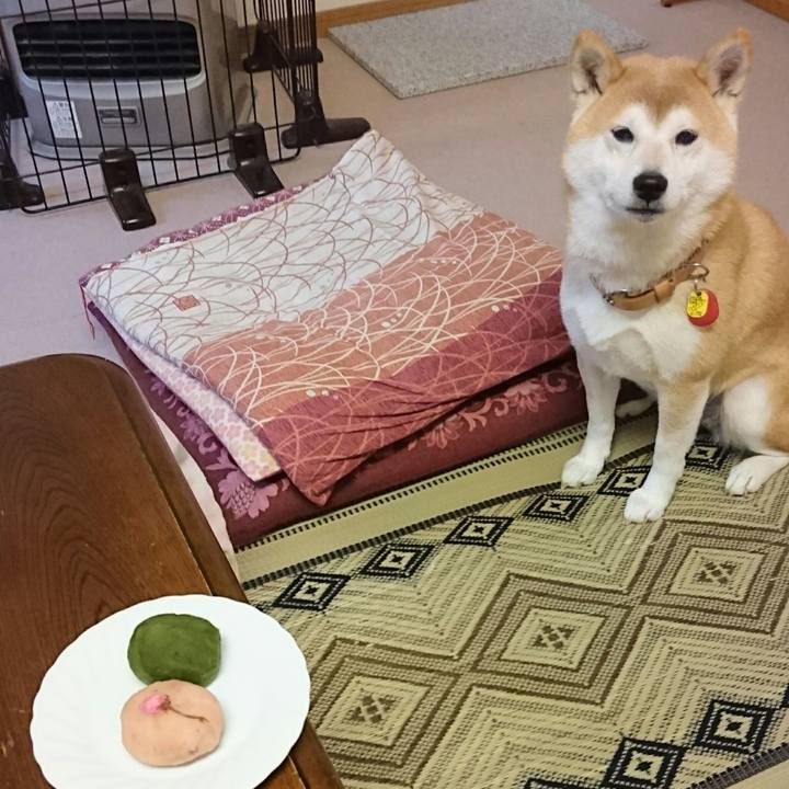 1efc2859 0502 41be b07a 92c56d3dd335