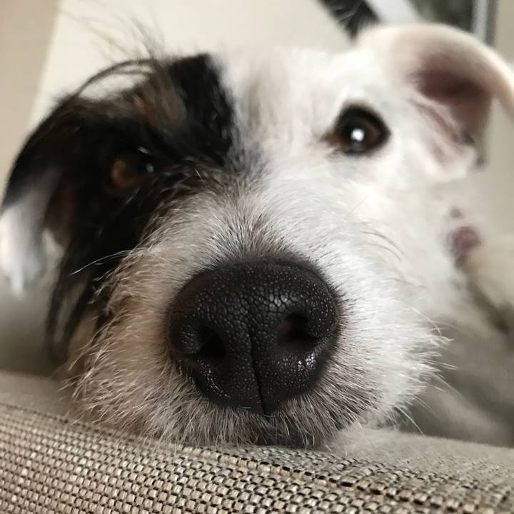 1efc87bf d650 4492 9bac 1a7137732c8c