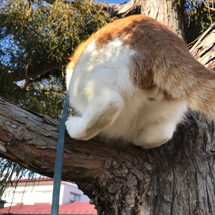 1efcb392 e4e6 418d a4b9 4bfa9a95cb47