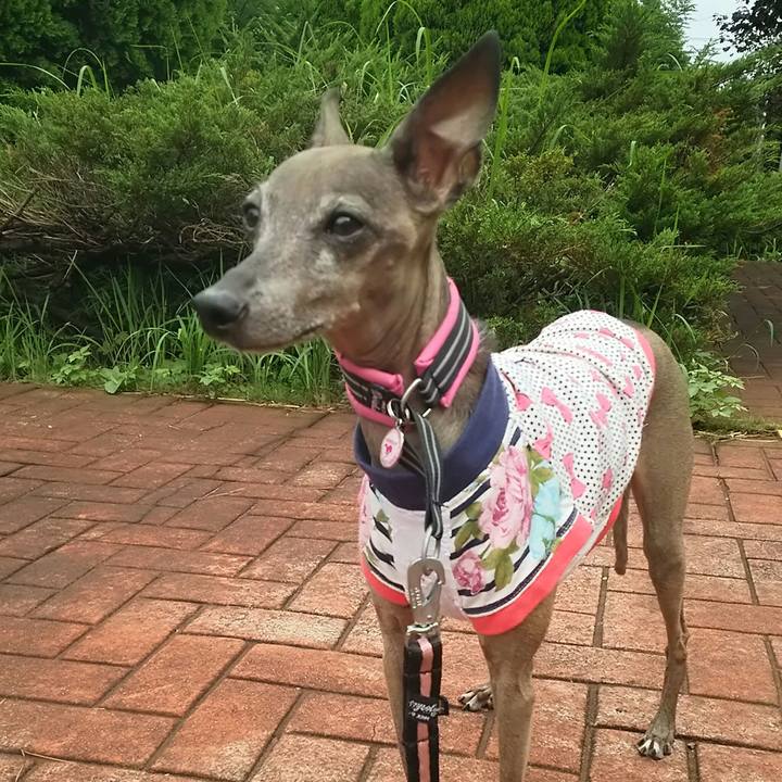 1efdd9ac 32fb 4e24 bcdb 4c722c52fbeb