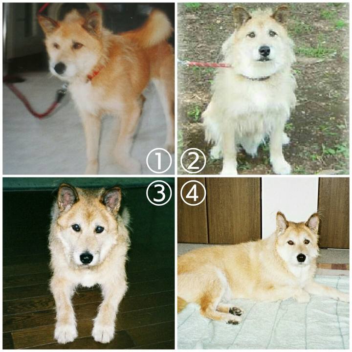 1efe0885 672f 455e bf35 c00728a4c899