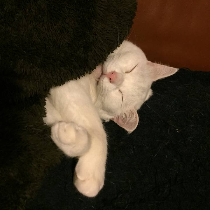 1efec8bf d7cc 4151 a32f 9df0bcb610d5