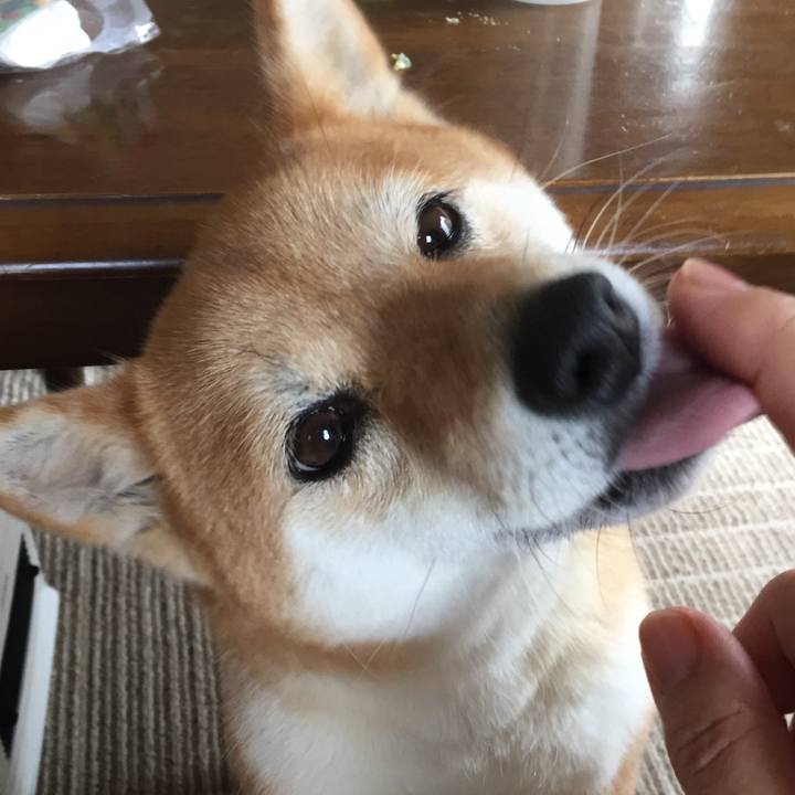 1efedd21 320d 4b2e a0fc cb978cd5d5ac