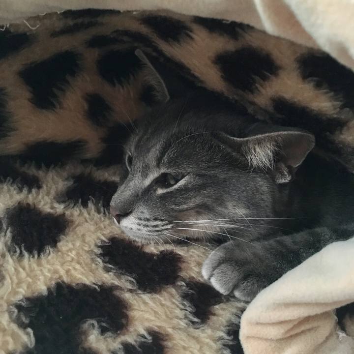 1eff4c1e 36b2 41f1 95b3 005eed4bb6d2