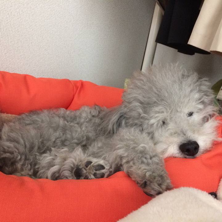 1eff5fdb 56f8 4630 9282 6b9614221340