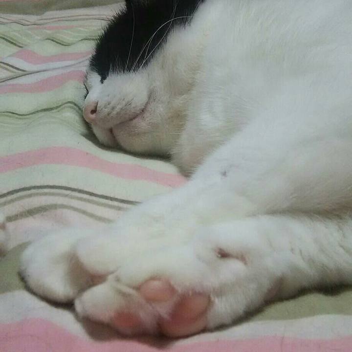 1efff30d dda9 4408 9e40 9c2e373570ad