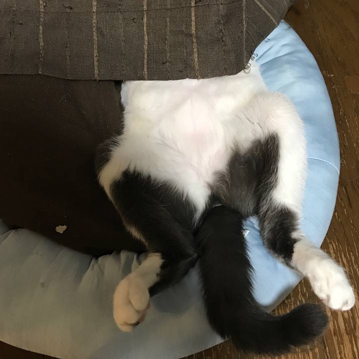 1f002447 3674 4ea6 afc4 d365585c7397