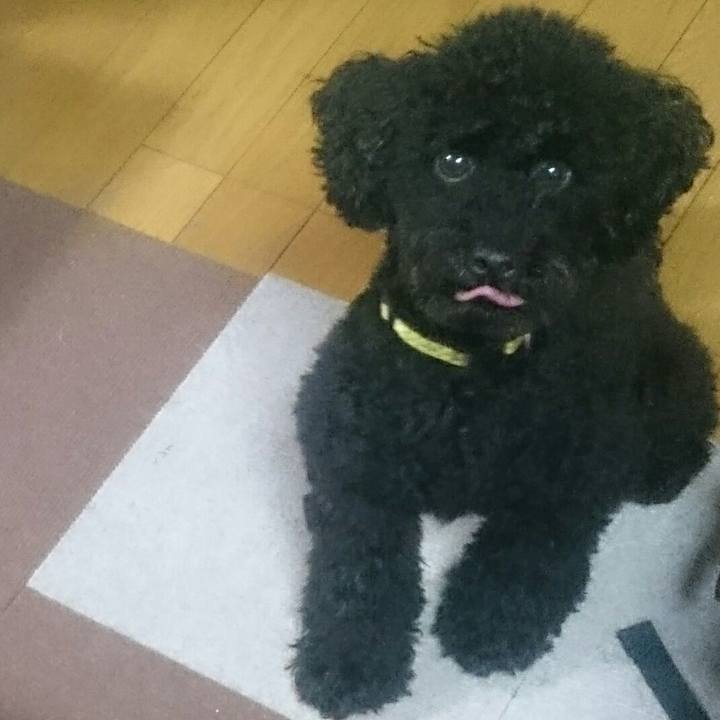 1f002c29 ca69 46be 9d87 ad25c7508c7f