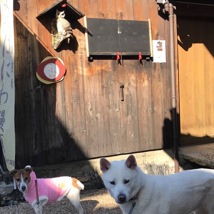 1f002eb8 a2c6 4efa 9696 449706f07935