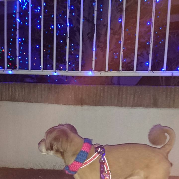 1f0063e2 5864 46b6 be5f 632ff60bc597