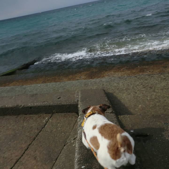 1f008674 8d82 4289 8c54 0b0faf996841