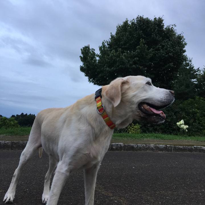 1f012017 7dbc 4b07 94f6 d06254e8bea6