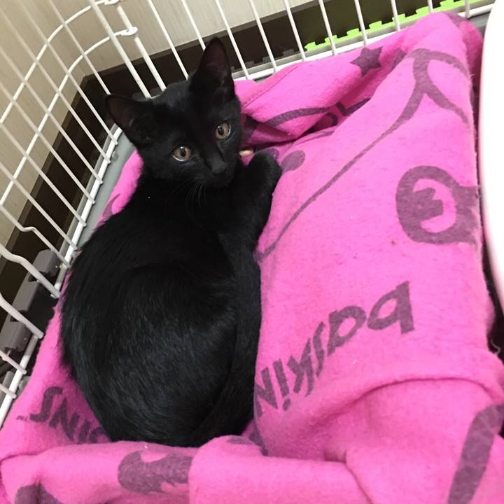 1f01f6d1 affd 493c b511 41b6b8e0a1c7