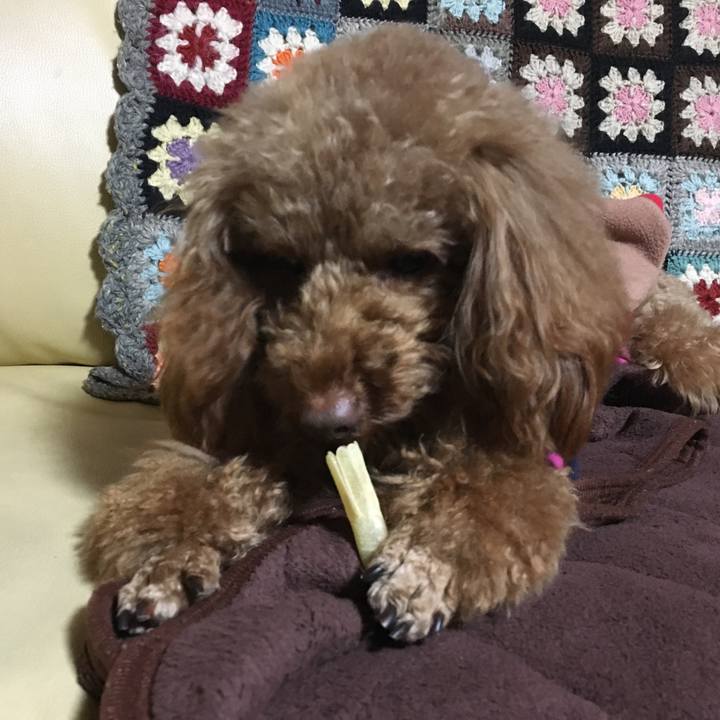 1f023354 bacc 4b49 89fe b5e42fa00654