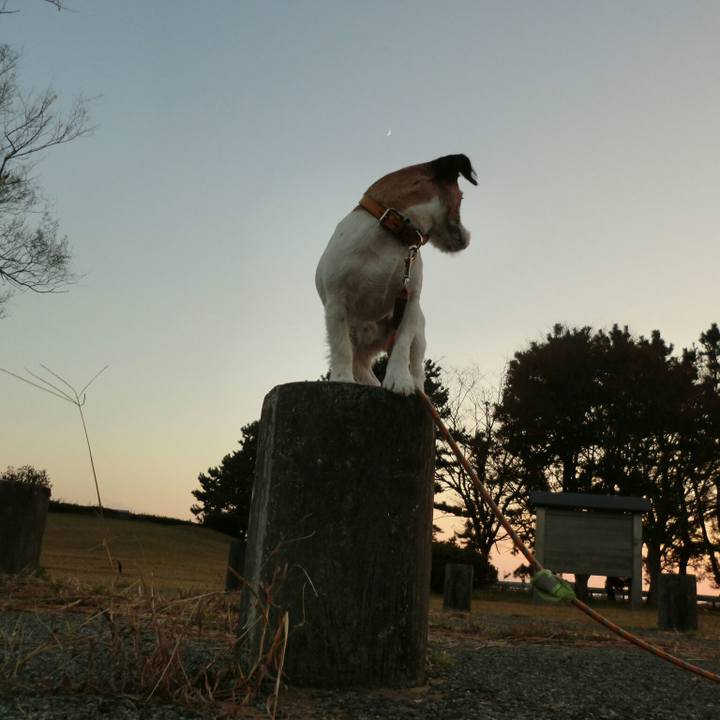 1f024500 ab57 466a 8634 72238a73f3e4