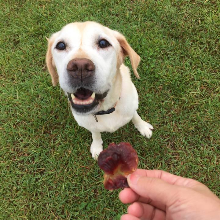 1f025c90 b87c 4f72 a091 d52012ebd18b