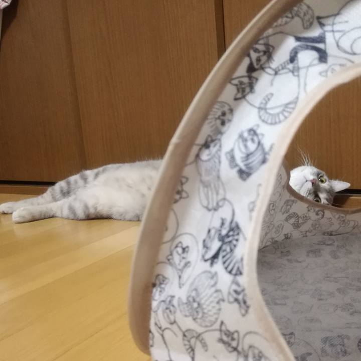 1f026f3e f3d1 48dd 845f b6c180c63df0