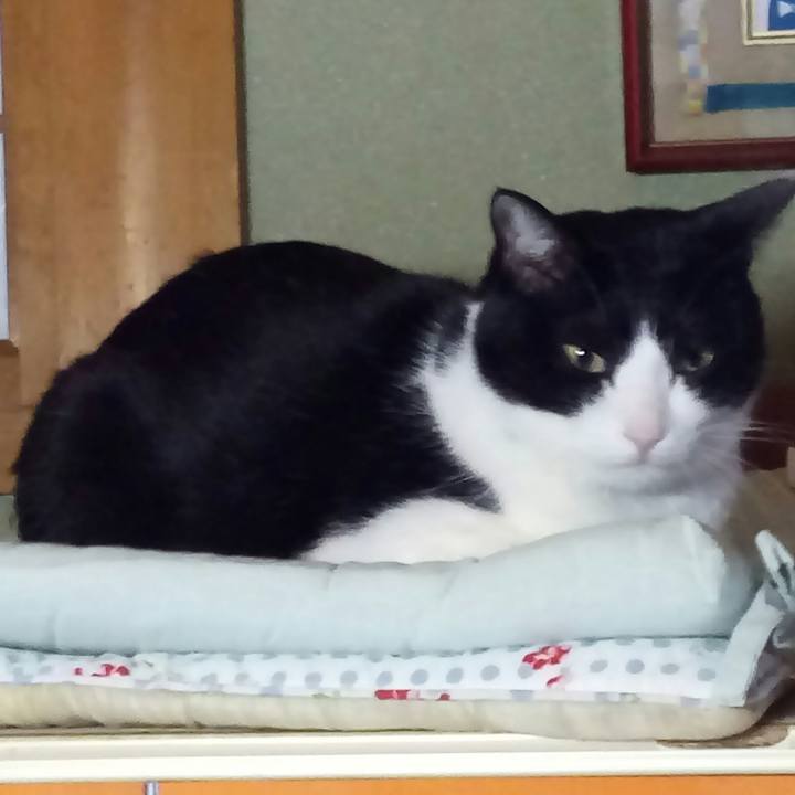 1f029a0b 4a4a 4f97 b966 4b658c28014d