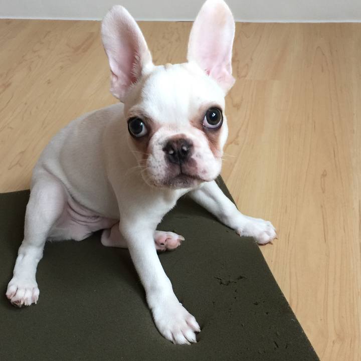 1f031c73 6fda 46cf 9677 e7361478c4b6